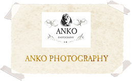 strona Anko Photography